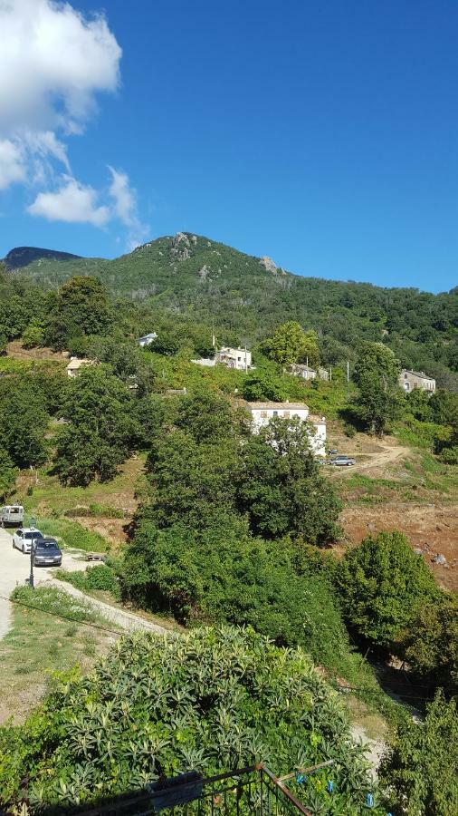 English Club In Corsica B&B Porri Exterior foto